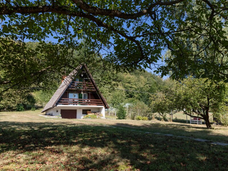 Chalet Medjurecje