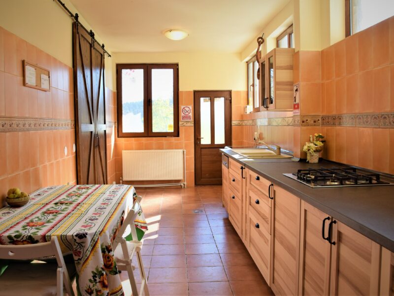Cabana Soveja