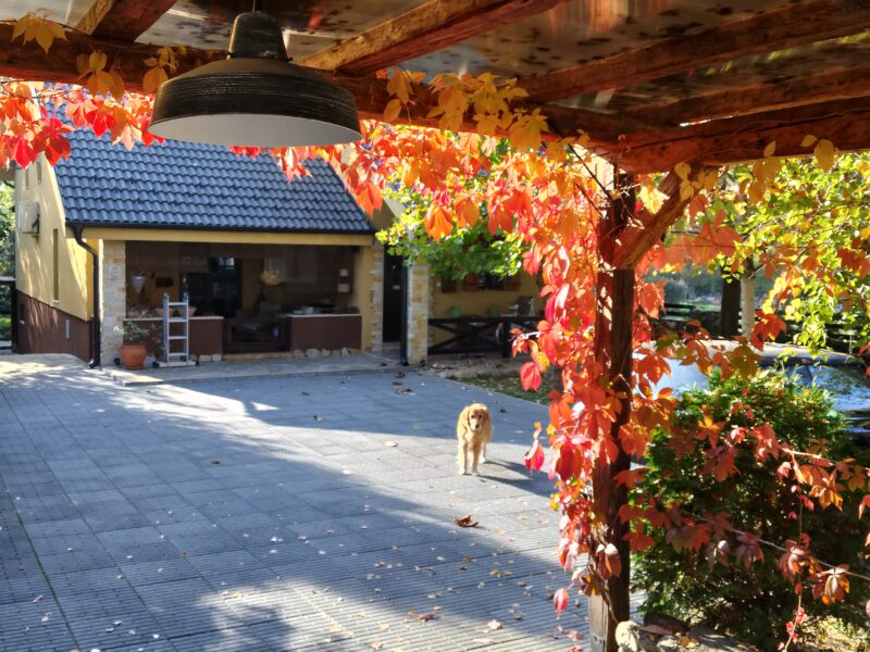 Guesthouse Silvani